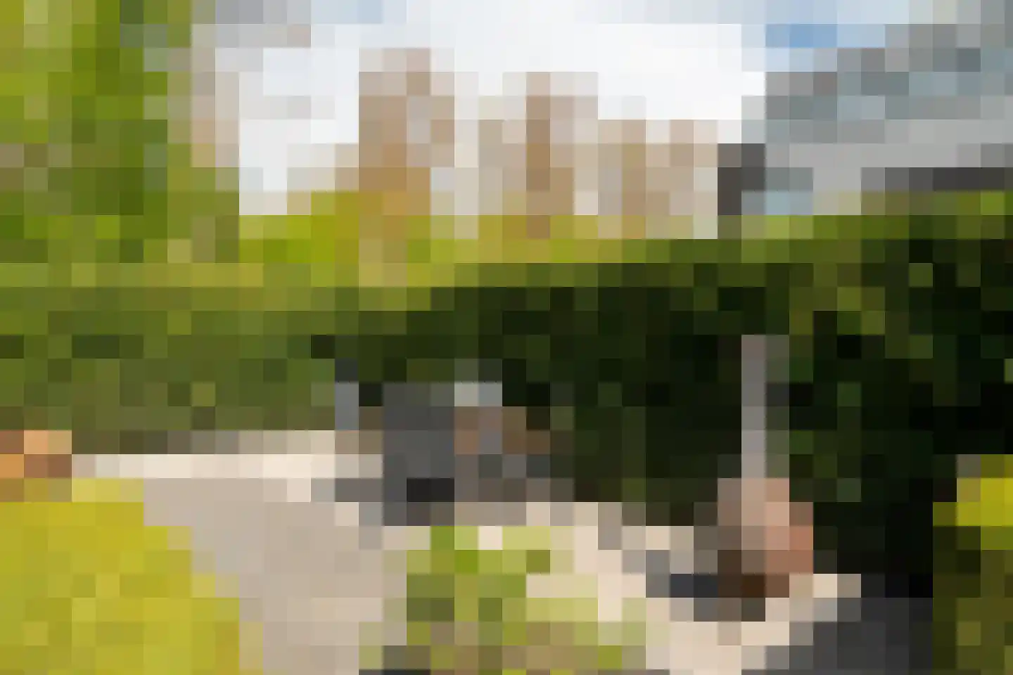 Het Roege Bos 33 Groningen thumbnail 52