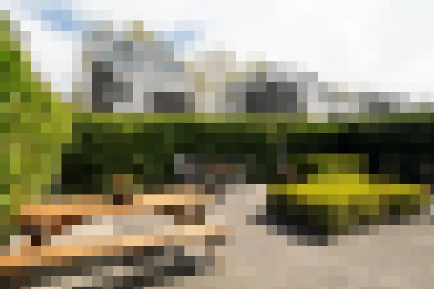 Het Roege Bos 33 Groningen thumbnail 53