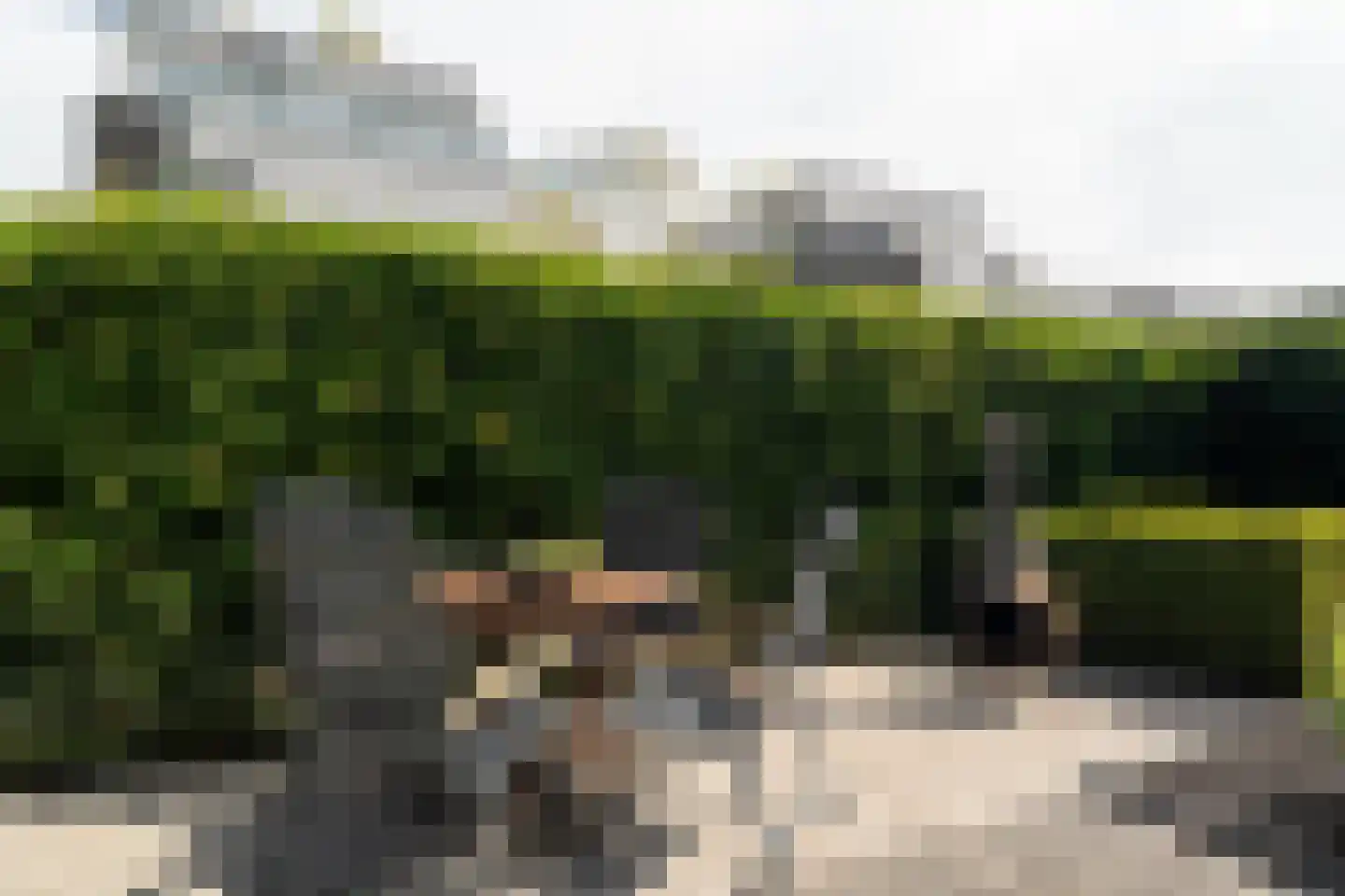 Het Roege Bos 33 Groningen thumbnail 54