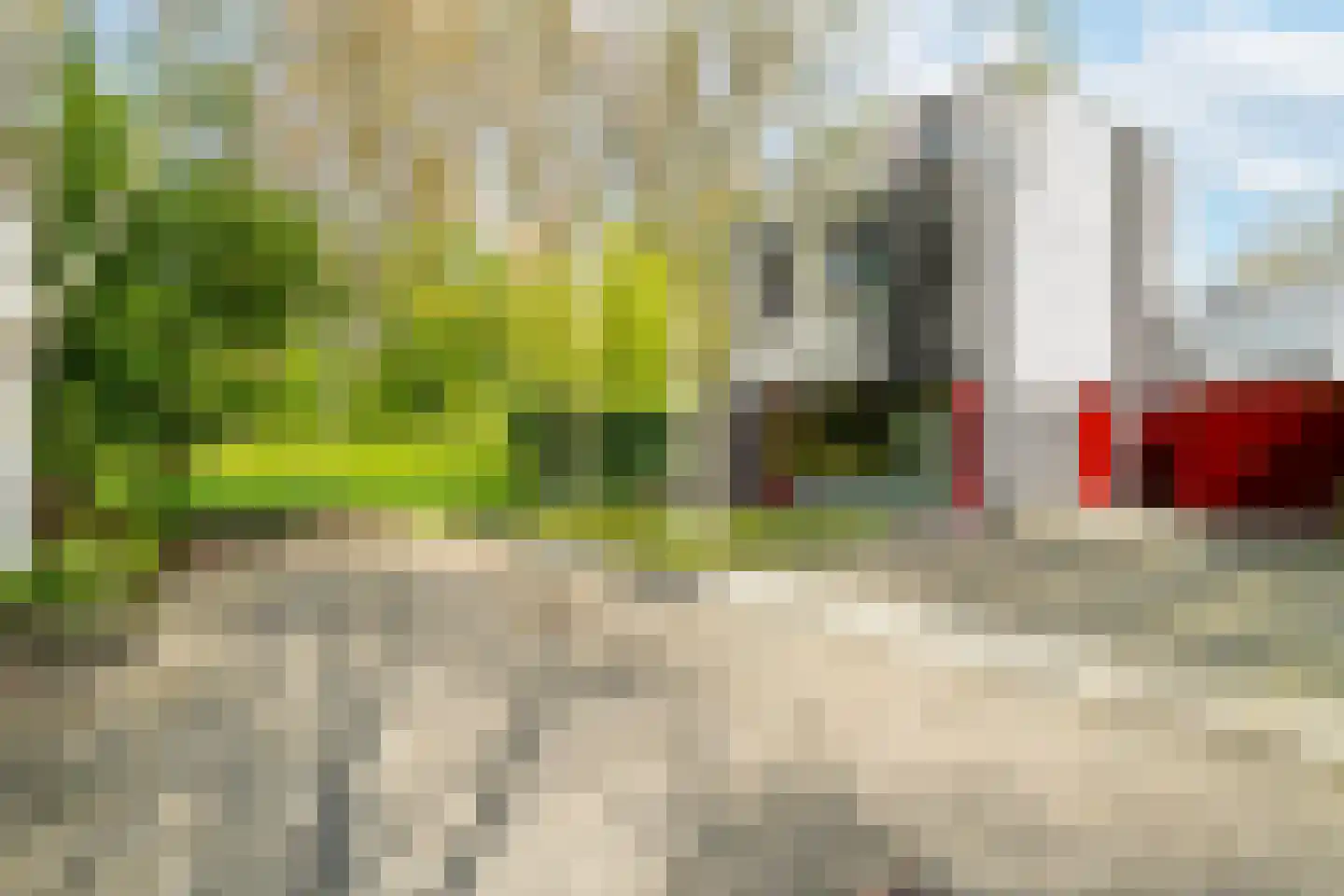 Het Roege Bos 33 Groningen thumbnail 57