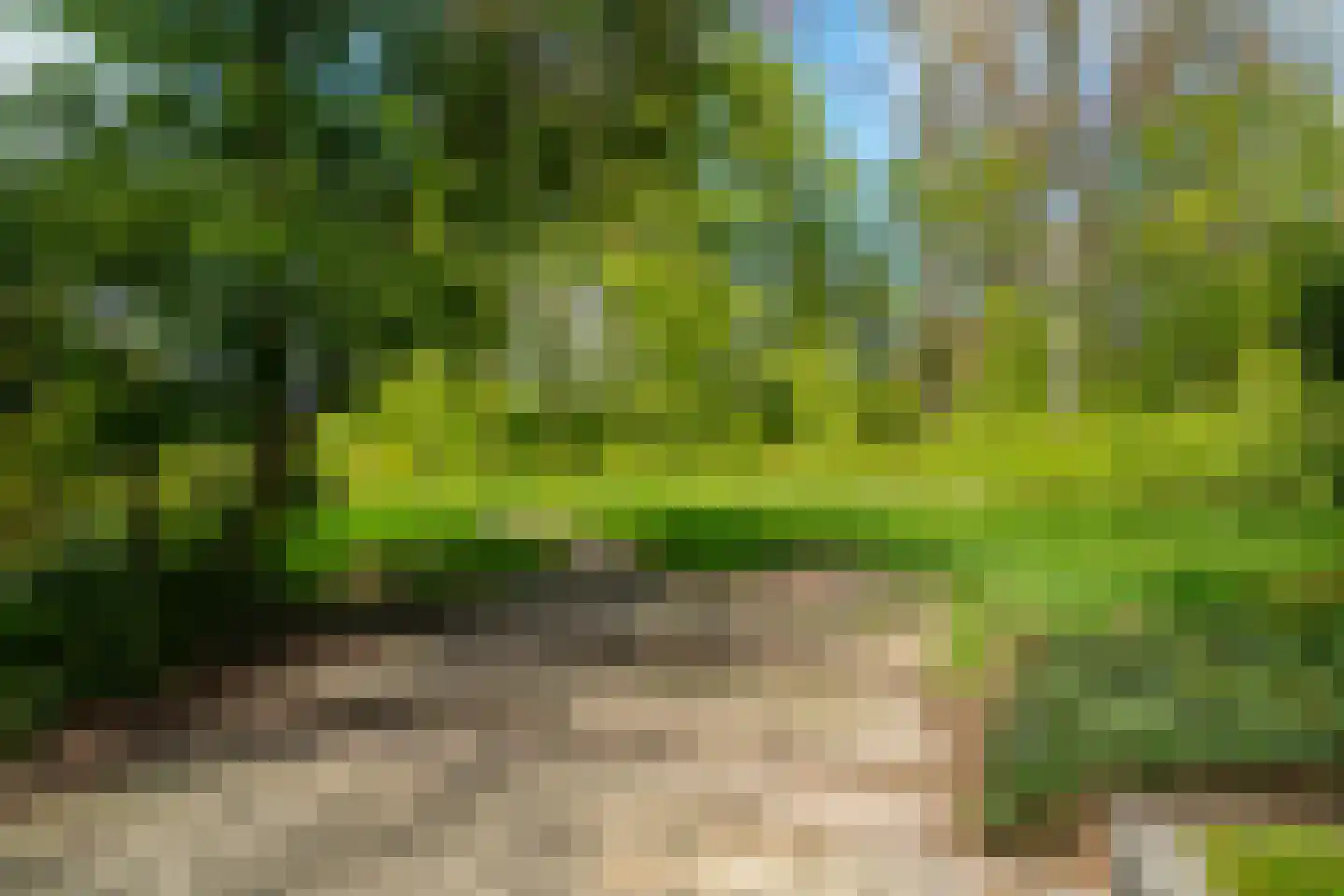 Het Roege Bos 33 Groningen thumbnail 58