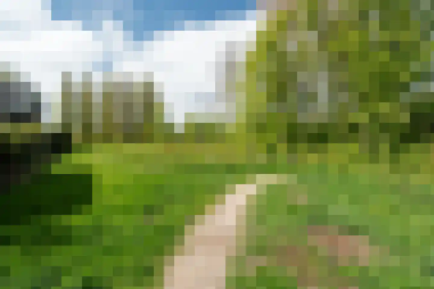 Het Roege Bos 33 Groningen thumbnail 59