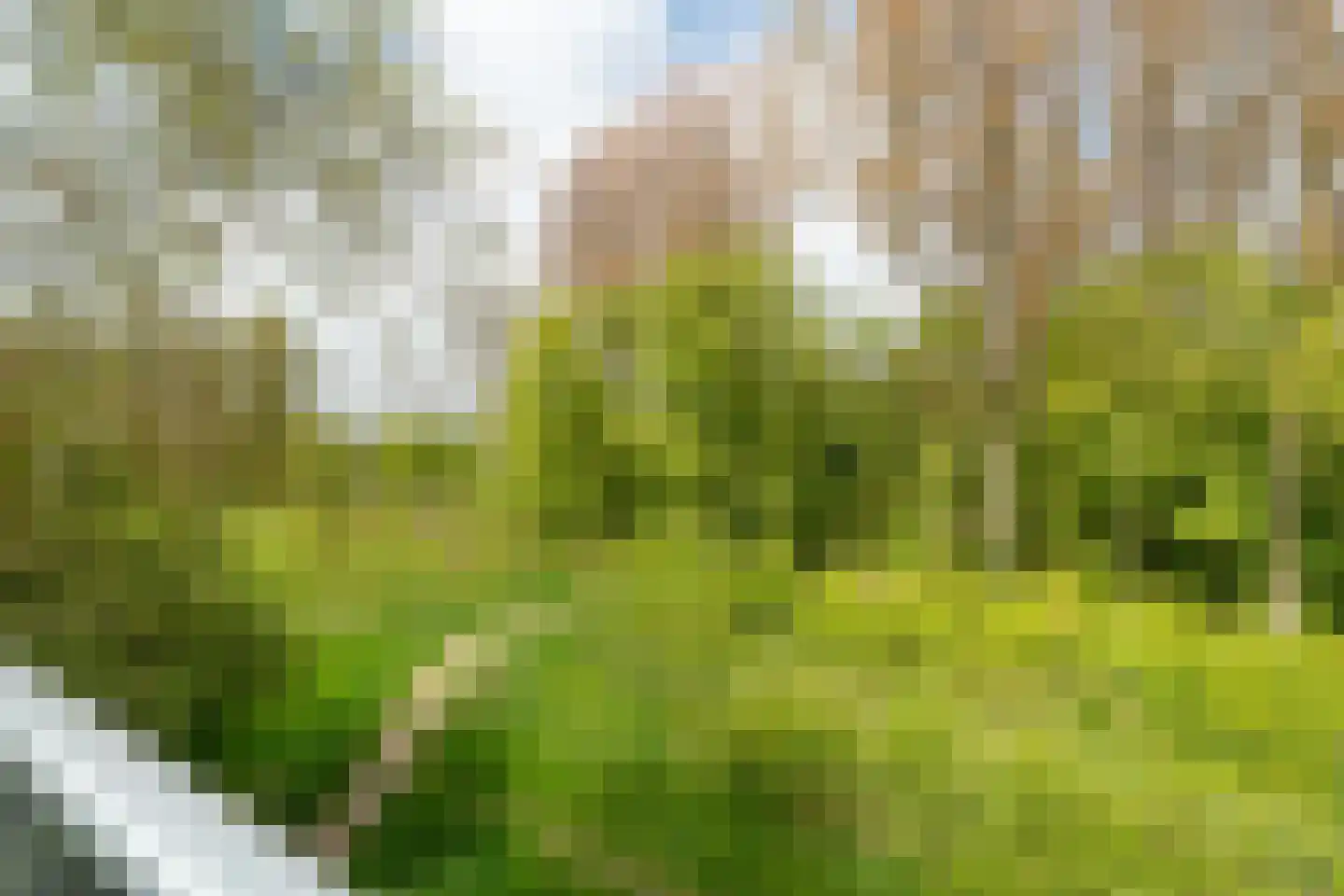 Het Roege Bos 33 Groningen thumbnail 6