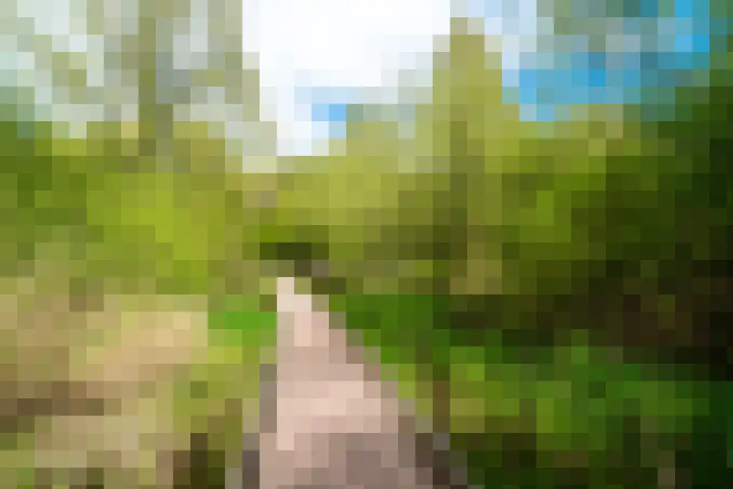 Het Roege Bos 33 Groningen thumbnail 60
