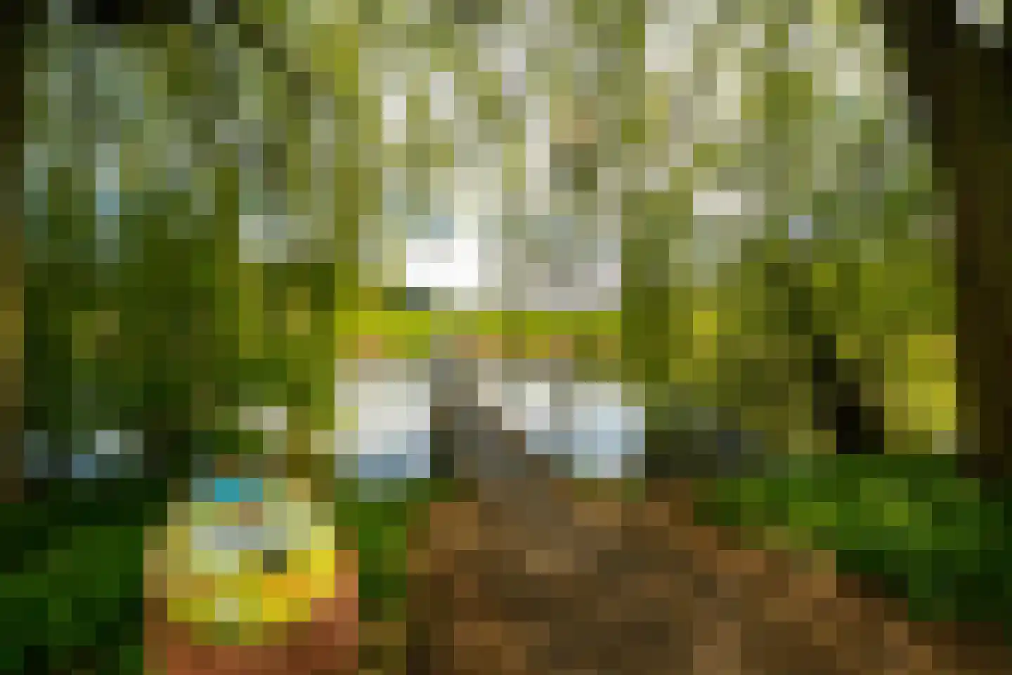 Het Roege Bos 33 Groningen thumbnail 61