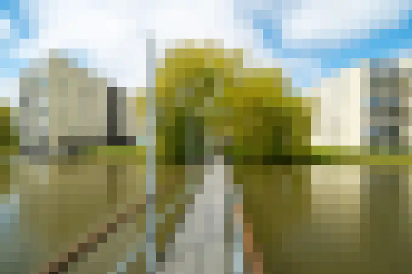 Het Roege Bos 33 Groningen thumbnail 62