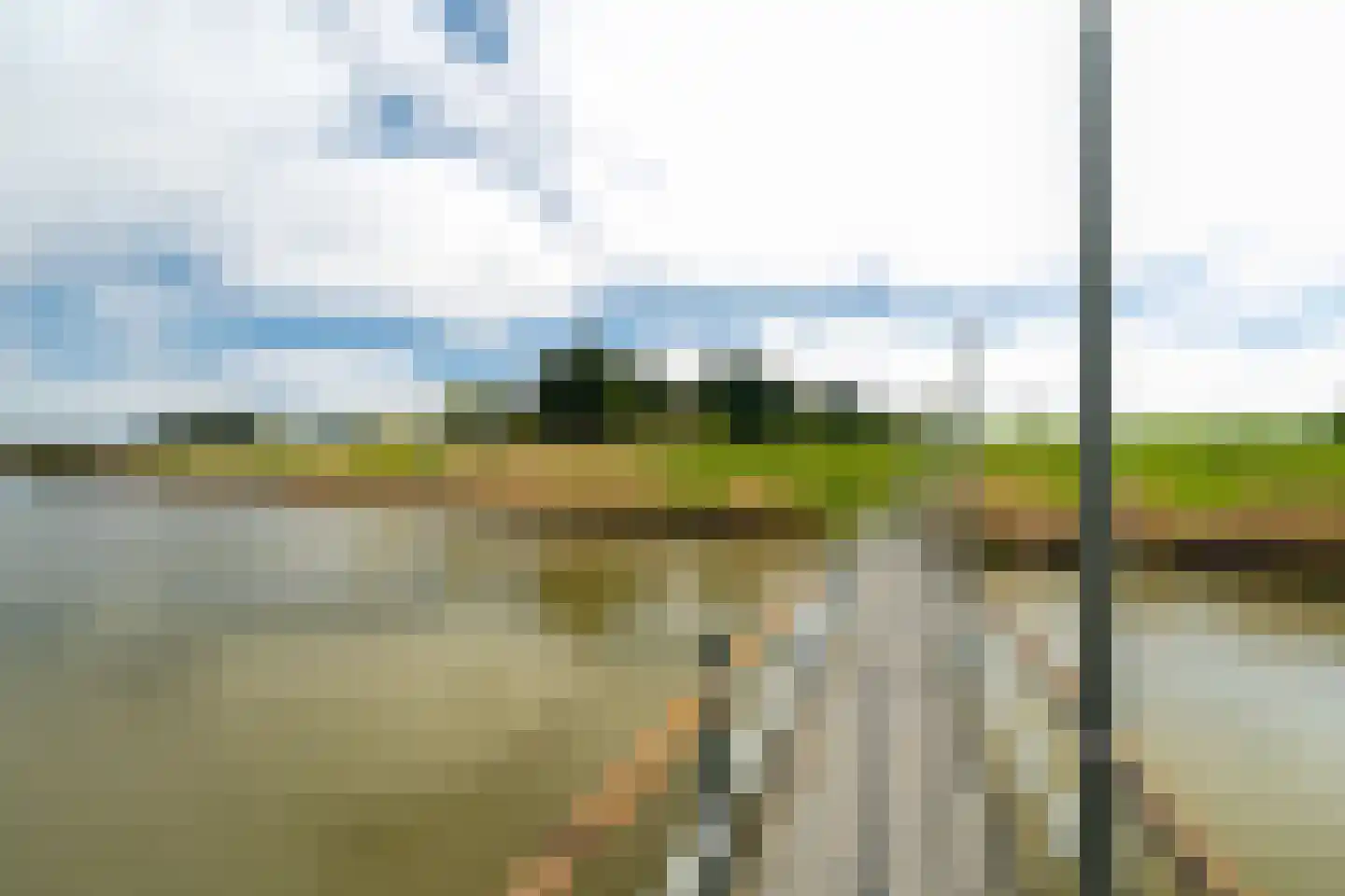 Het Roege Bos 33 Groningen thumbnail 63