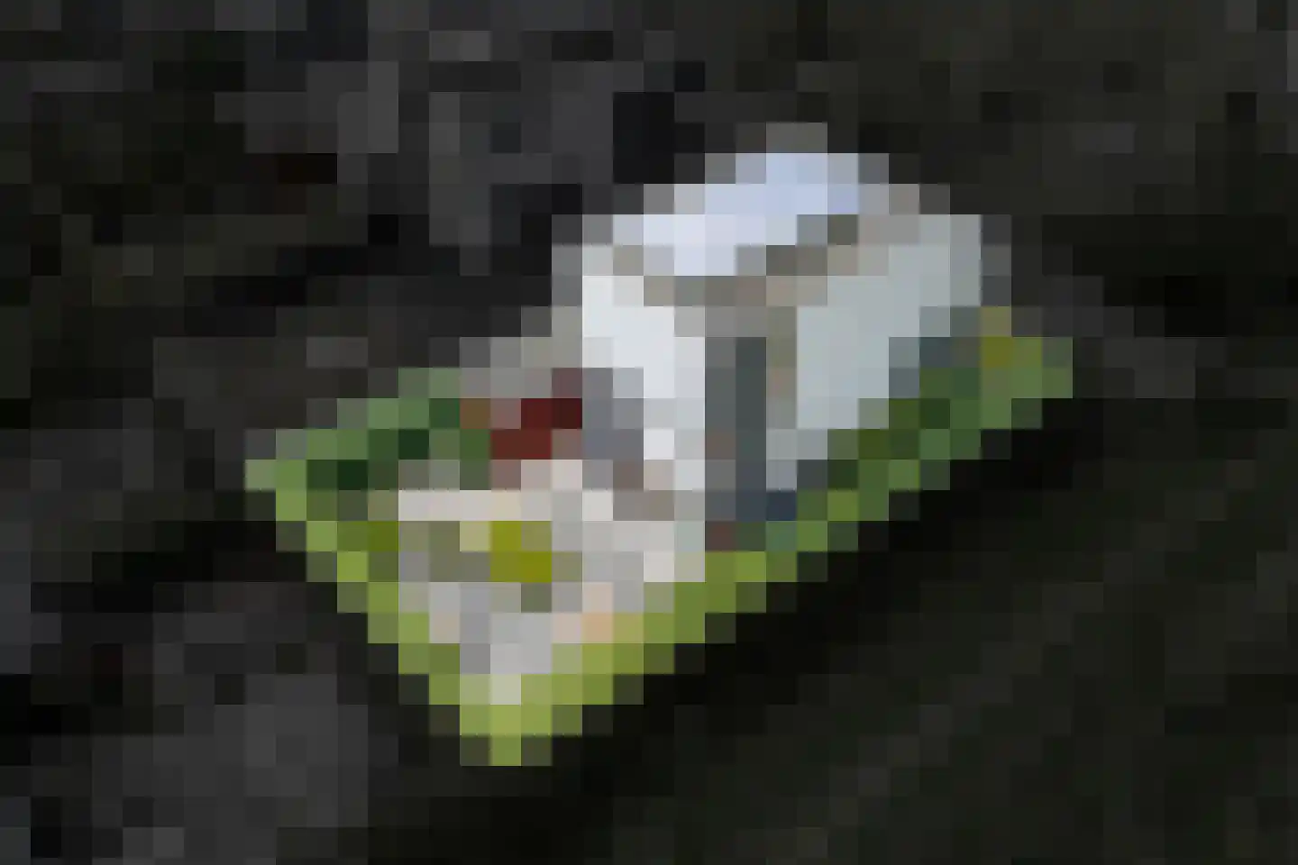 Het Roege Bos 33 Groningen thumbnail 65