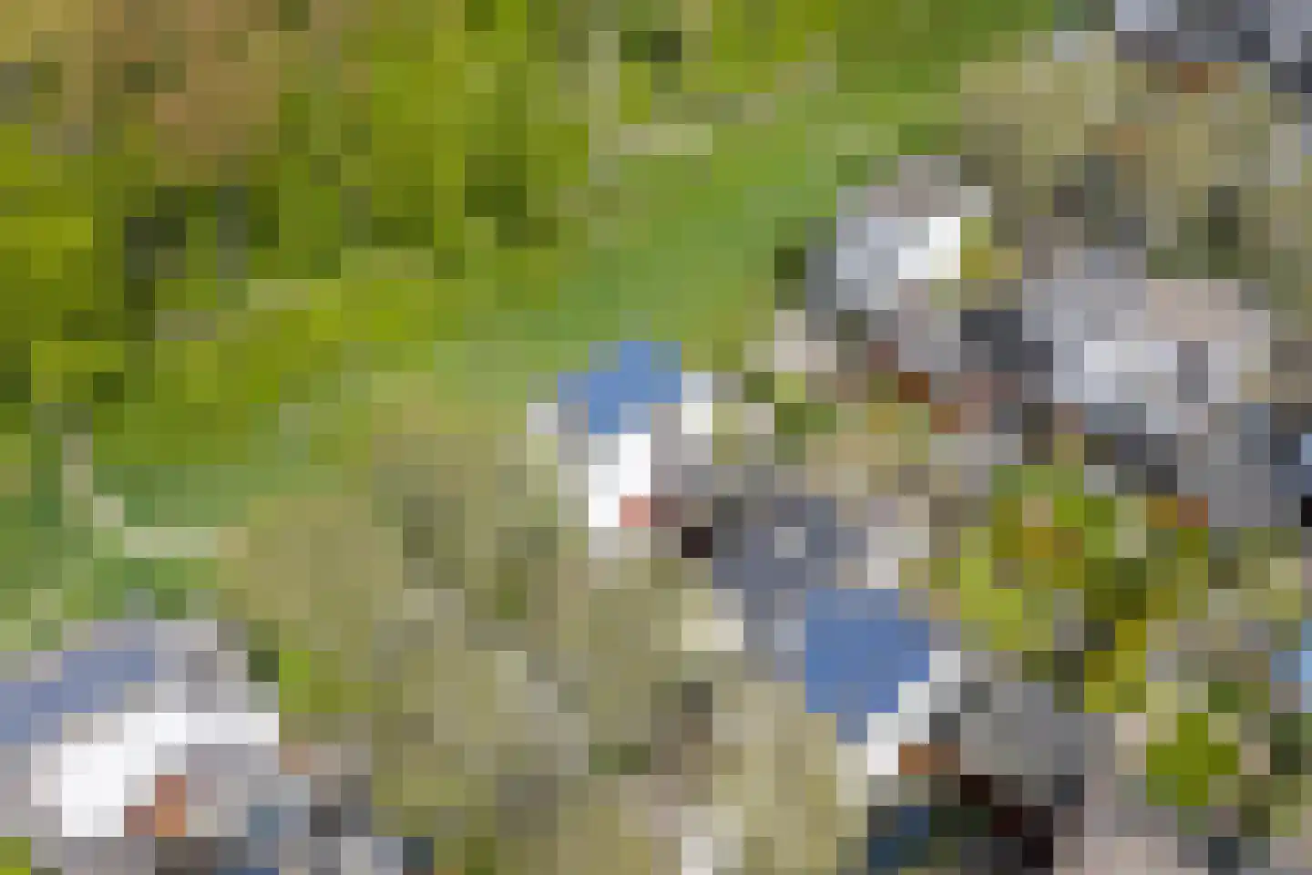 Het Roege Bos 33 Groningen thumbnail 66