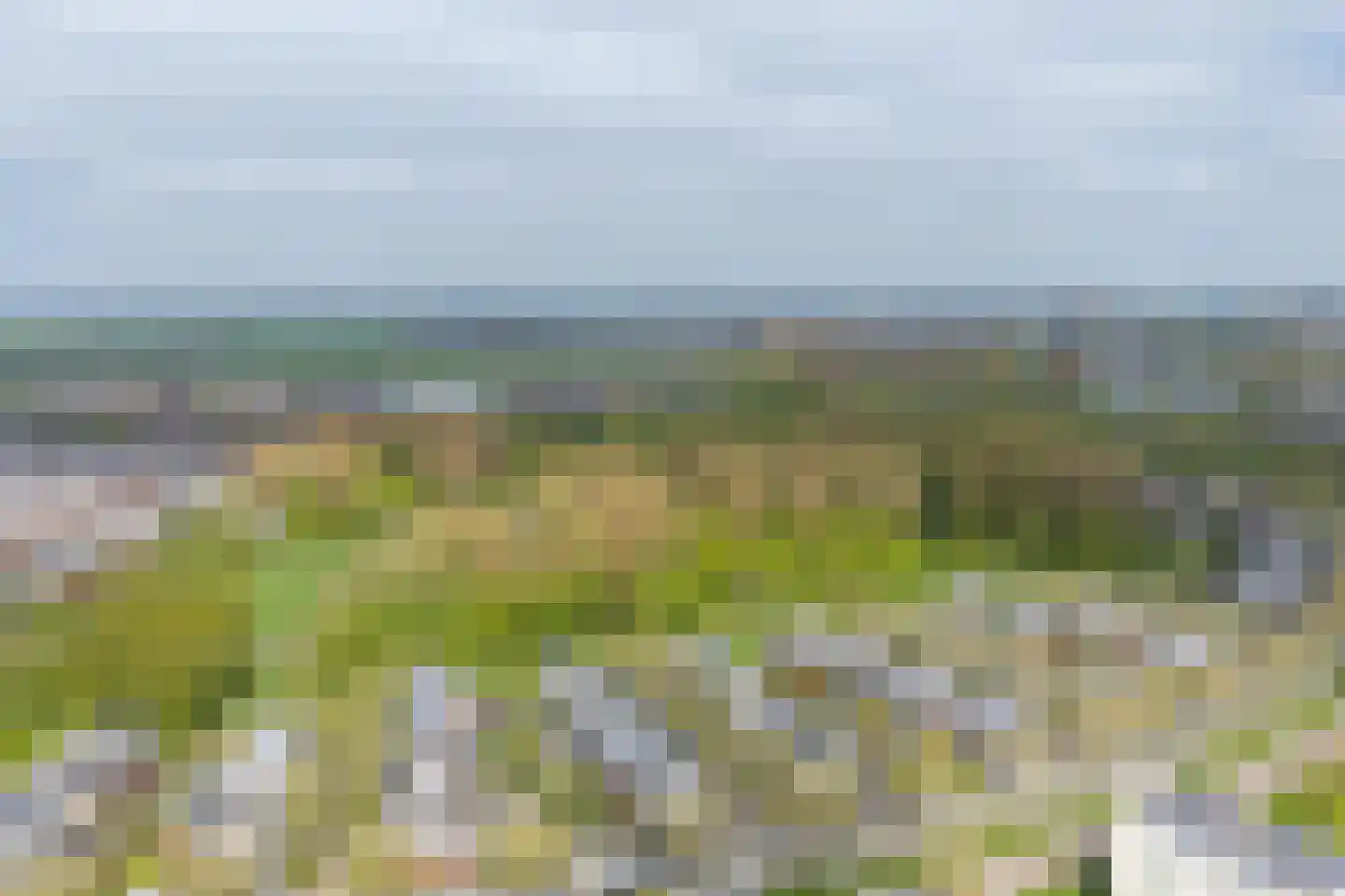 Het Roege Bos 33 Groningen thumbnail 67