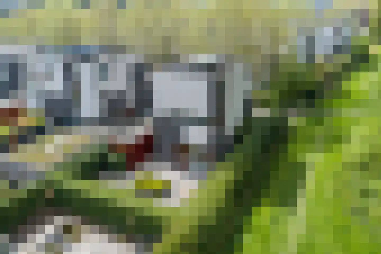 Het Roege Bos 33 Groningen thumbnail 7