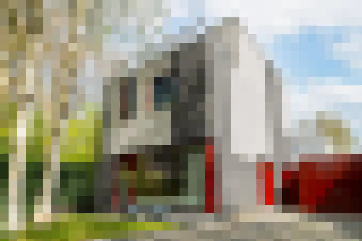 Het Roege Bos 33 Groningen thumbnail 9