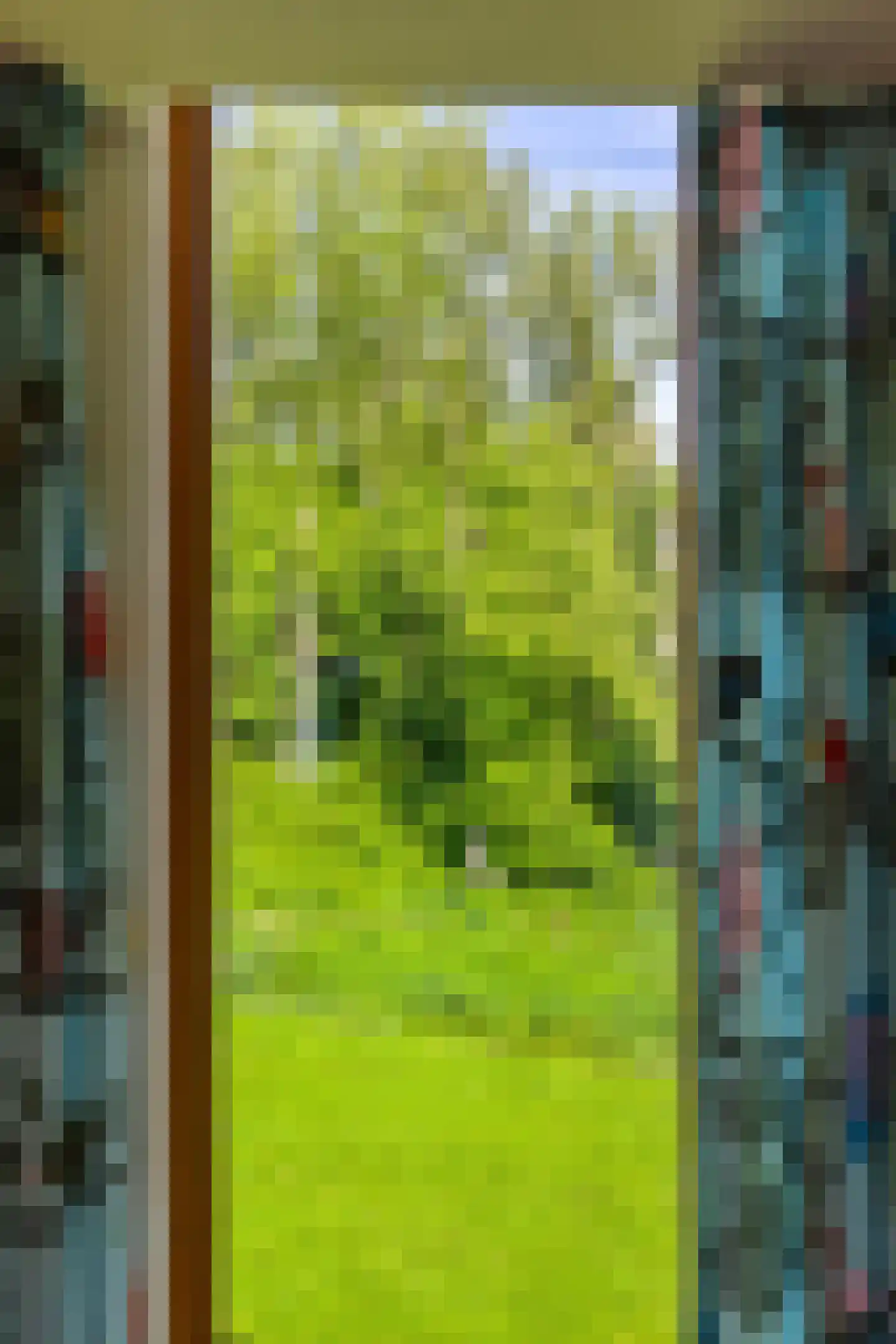 Het Roege Bos 5 Groningen thumbnail 31