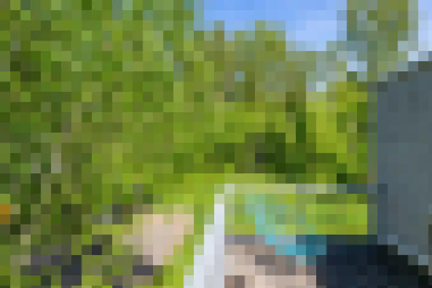 Het Roege Bos 5 Groningen thumbnail 36