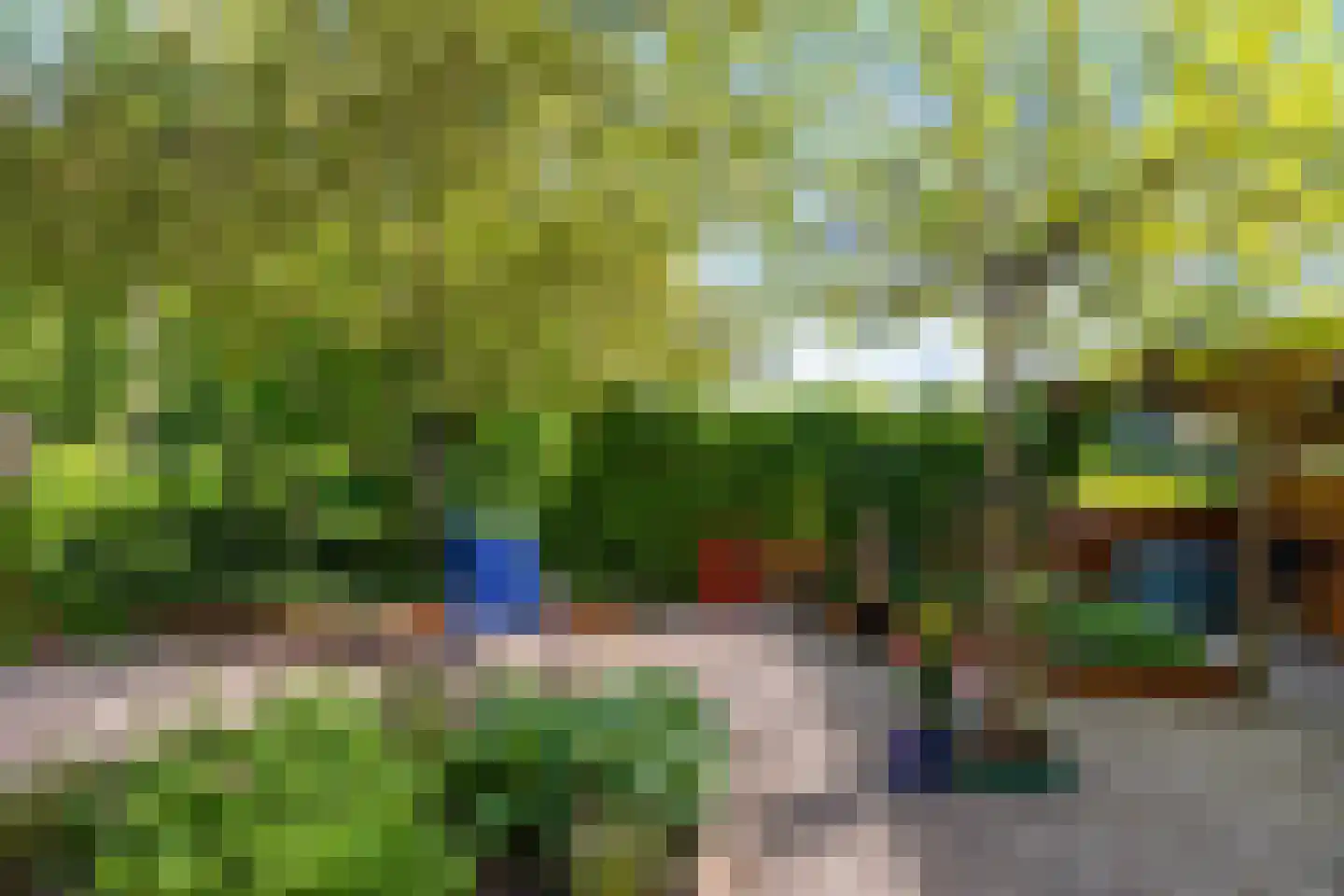 Het Roege Bos 5 Groningen thumbnail 38