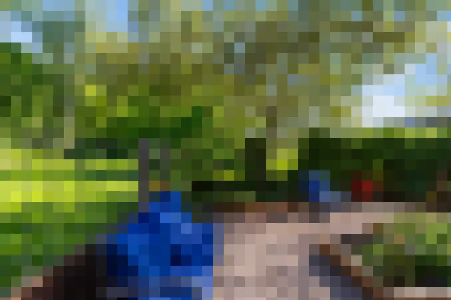 Het Roege Bos 5 Groningen thumbnail 39