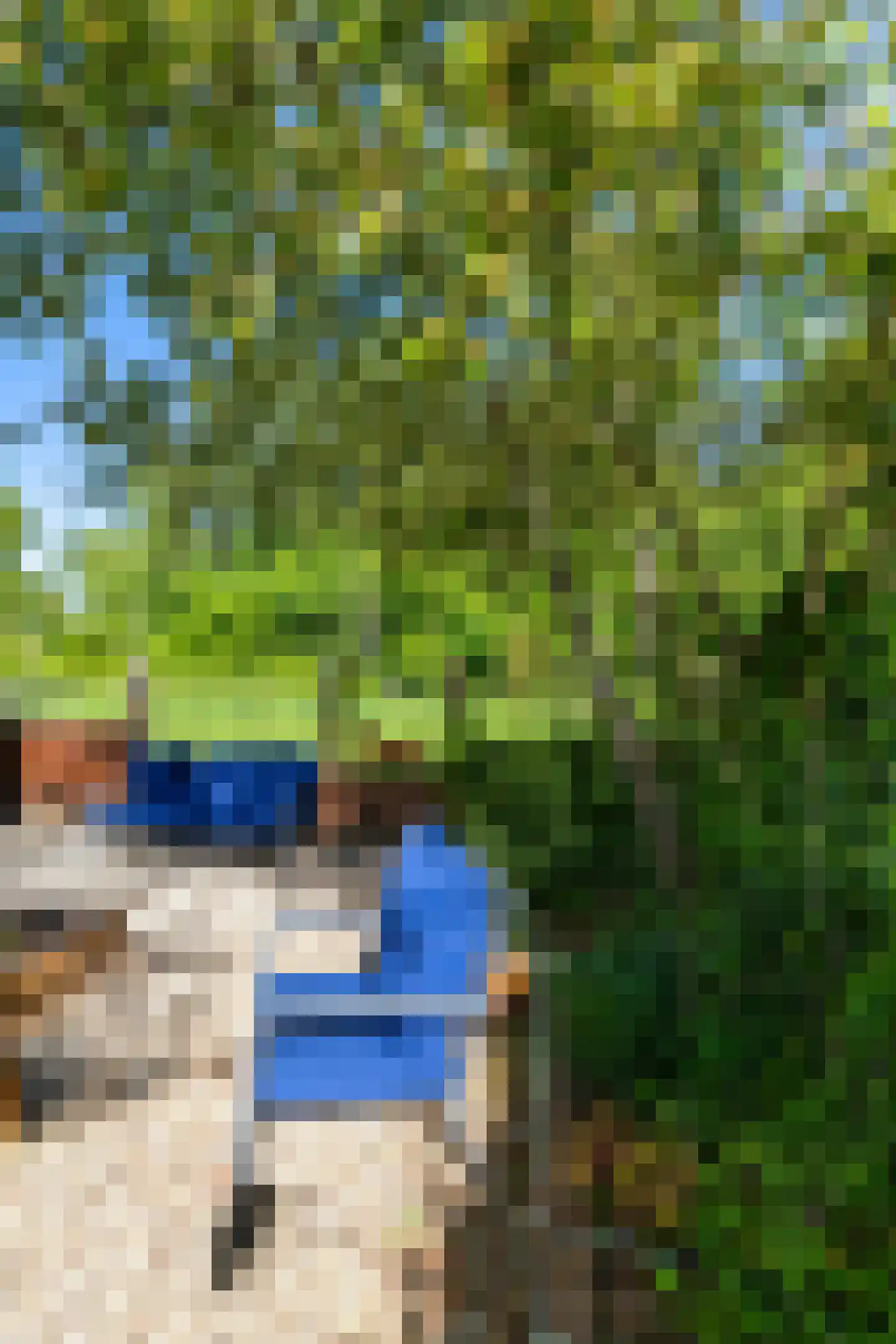Het Roege Bos 5 Groningen thumbnail 40
