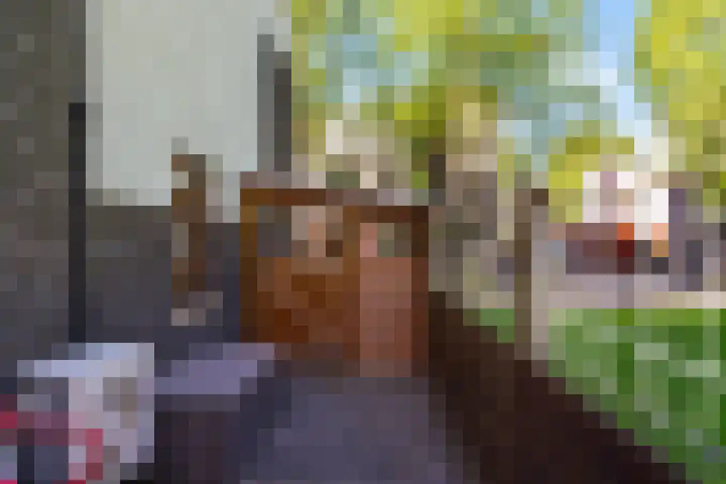 Het Roege Bos 5 Groningen thumbnail 45