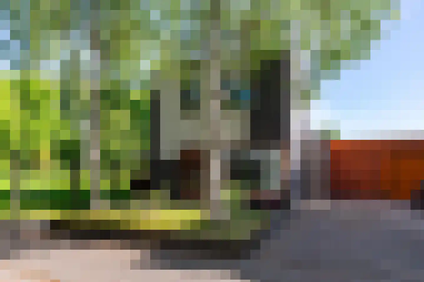 Het Roege Bos 5 Groningen thumbnail 46