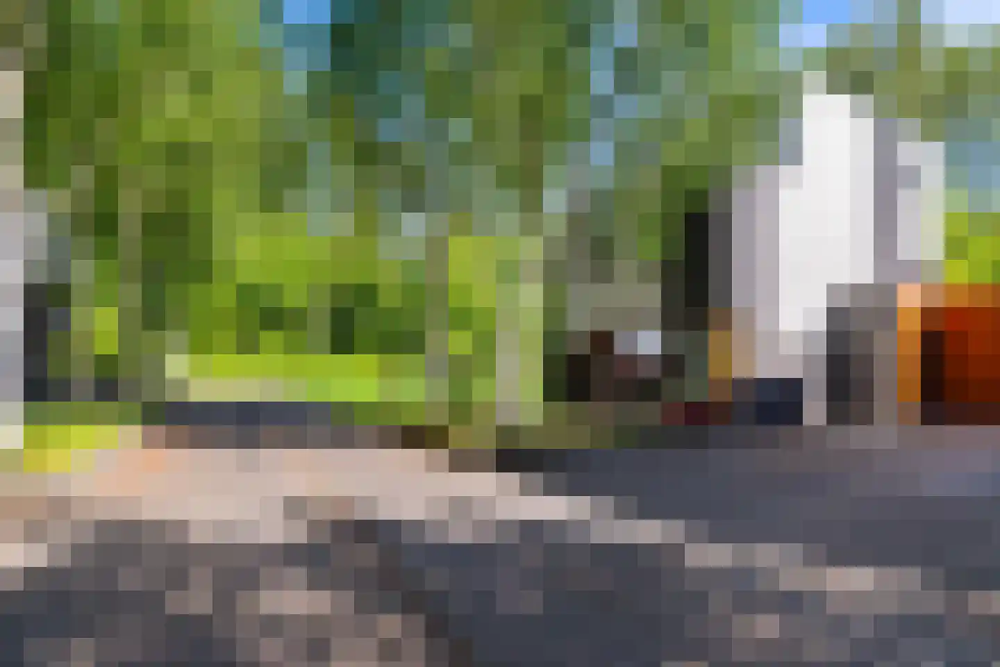 Het Roege Bos 5 Groningen thumbnail 48