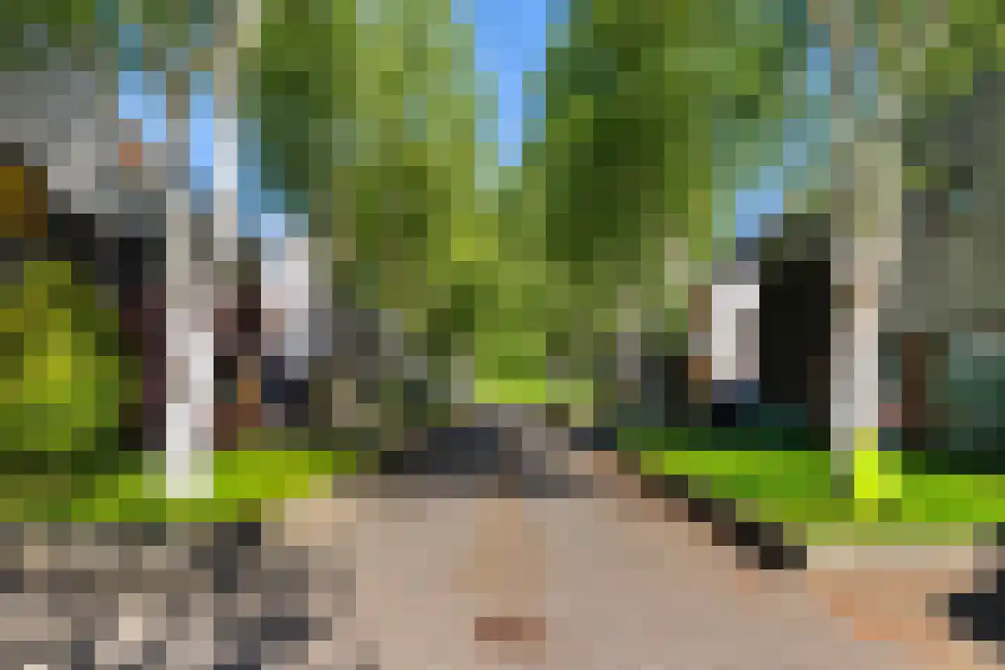 Het Roege Bos 5 Groningen thumbnail 51