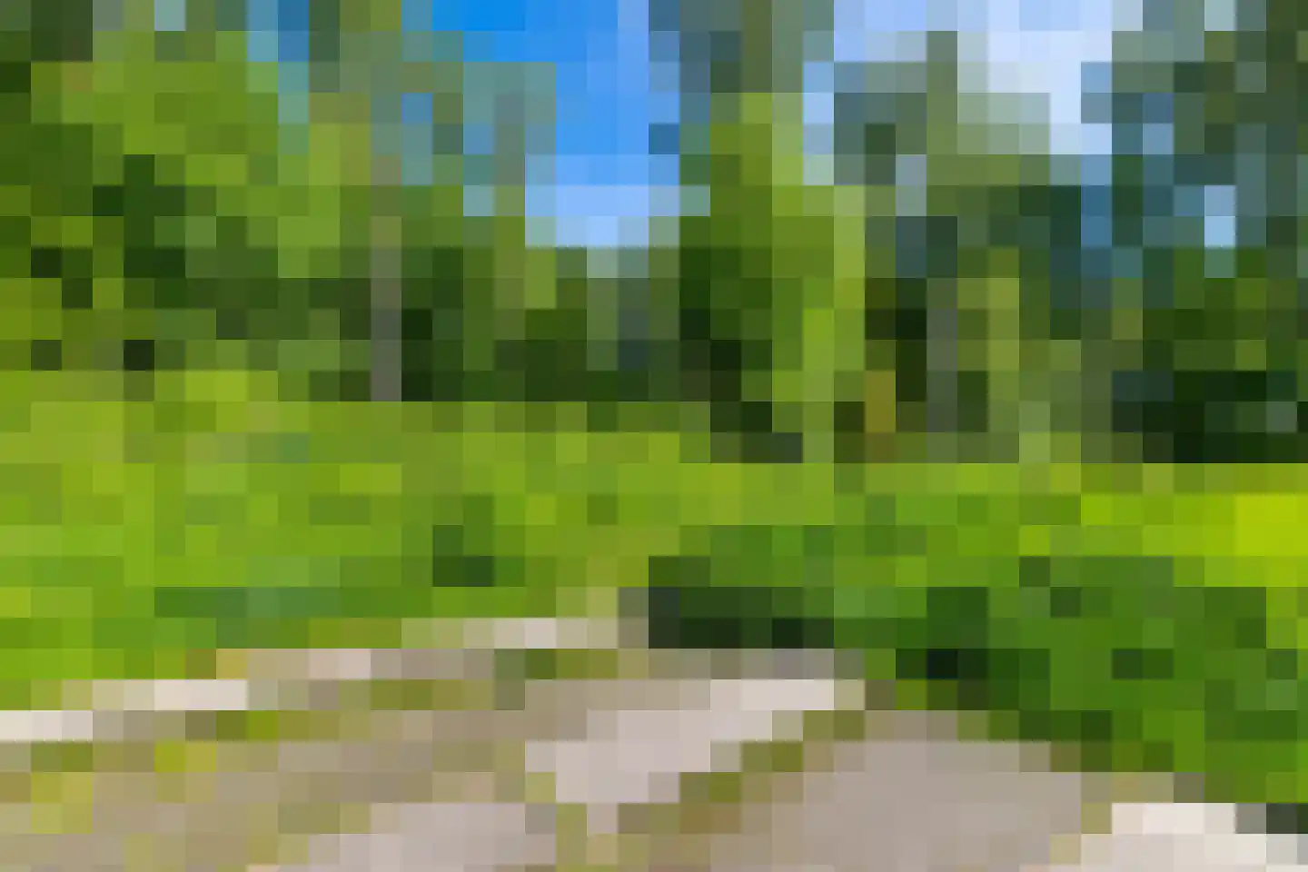 Het Roege Bos 5 Groningen thumbnail 52
