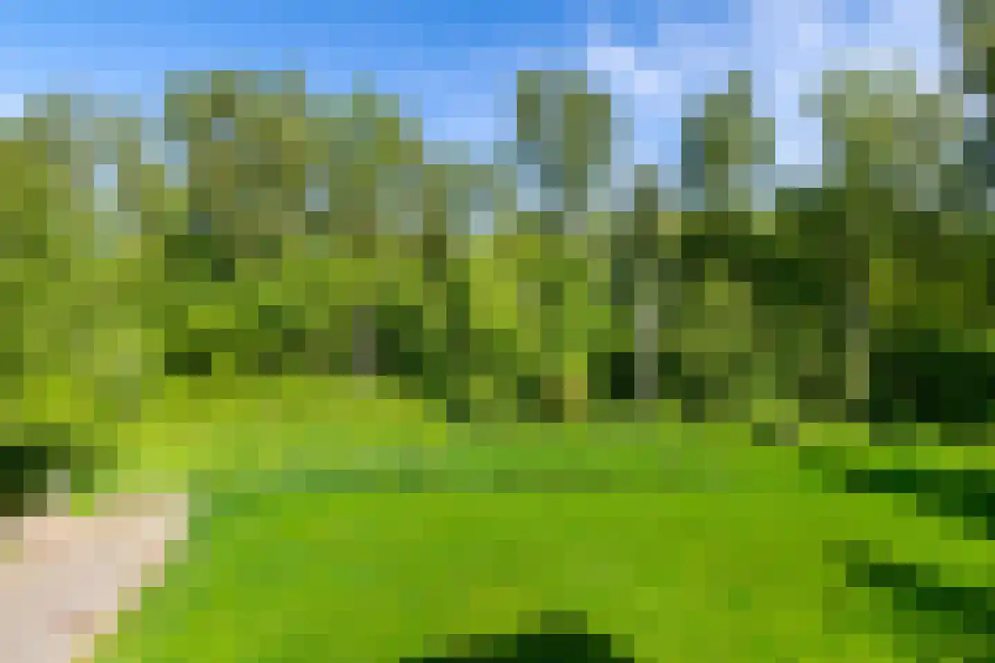 Het Roege Bos 5 Groningen thumbnail 53