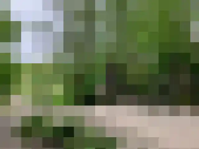 Het Roege Bos 5 Groningen thumbnail 54