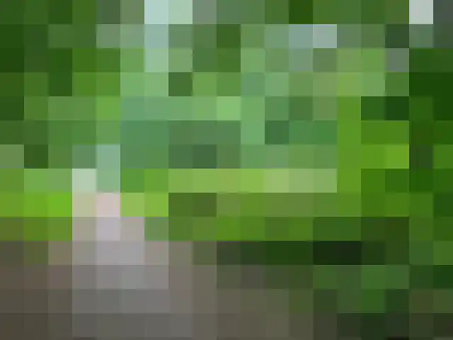 Het Roege Bos 5 Groningen thumbnail 55