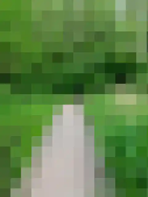 Het Roege Bos 5 Groningen thumbnail 56