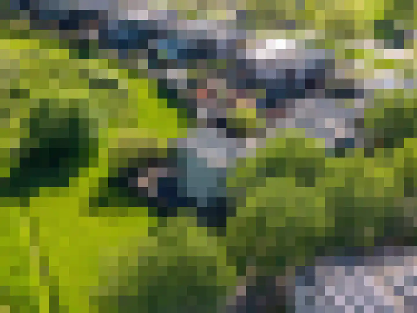 Het Roege Bos 5 Groningen thumbnail 58