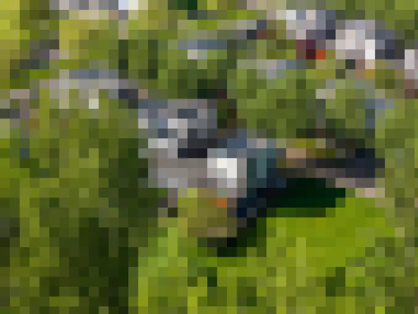Het Roege Bos 5 Groningen thumbnail 59