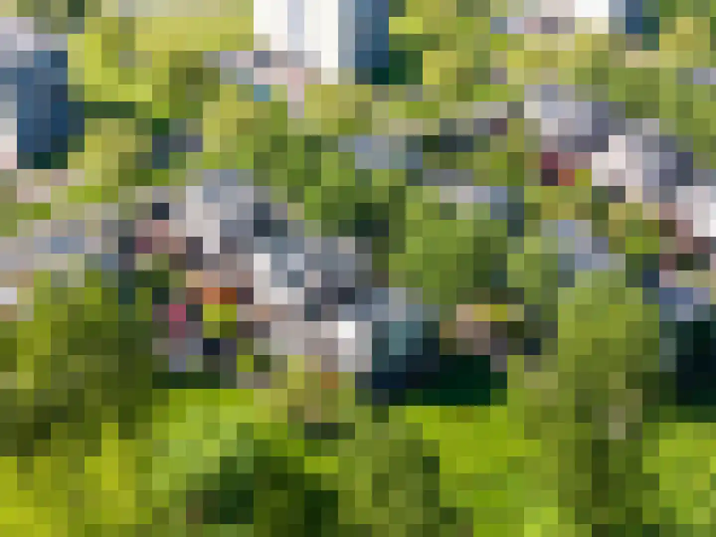 Het Roege Bos 5 Groningen thumbnail 60