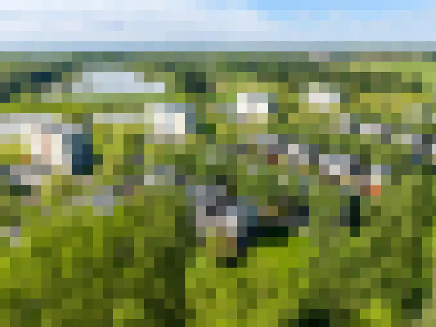 Het Roege Bos 5 Groningen thumbnail 61