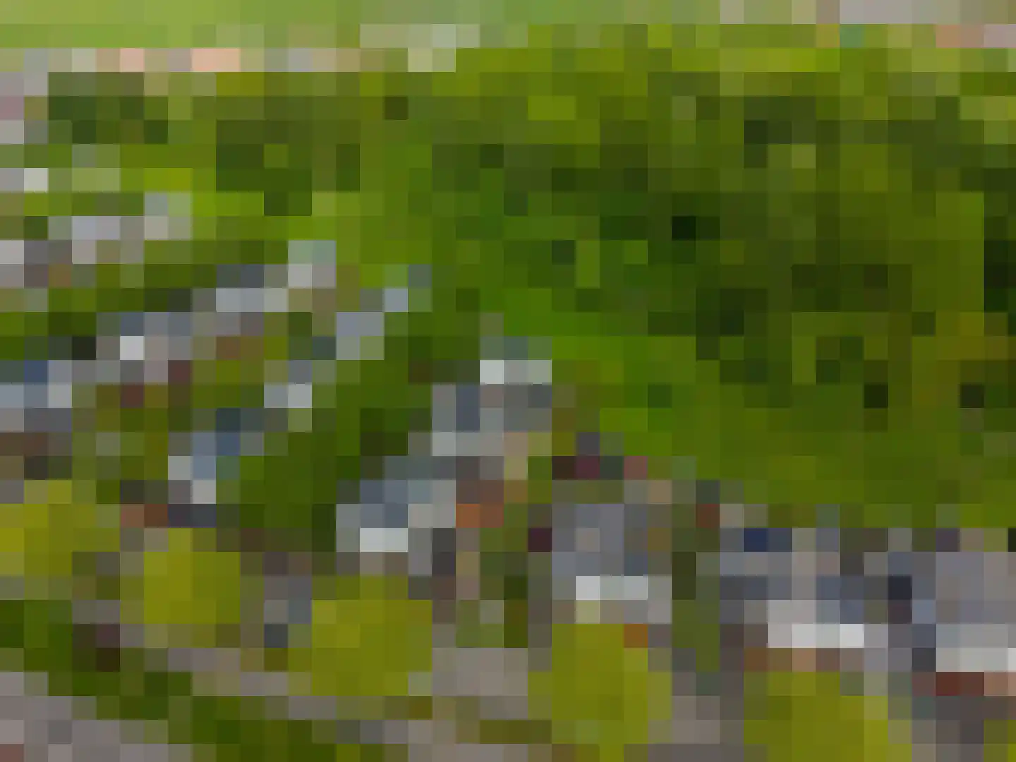 Het Roege Bos 5 Groningen thumbnail 62