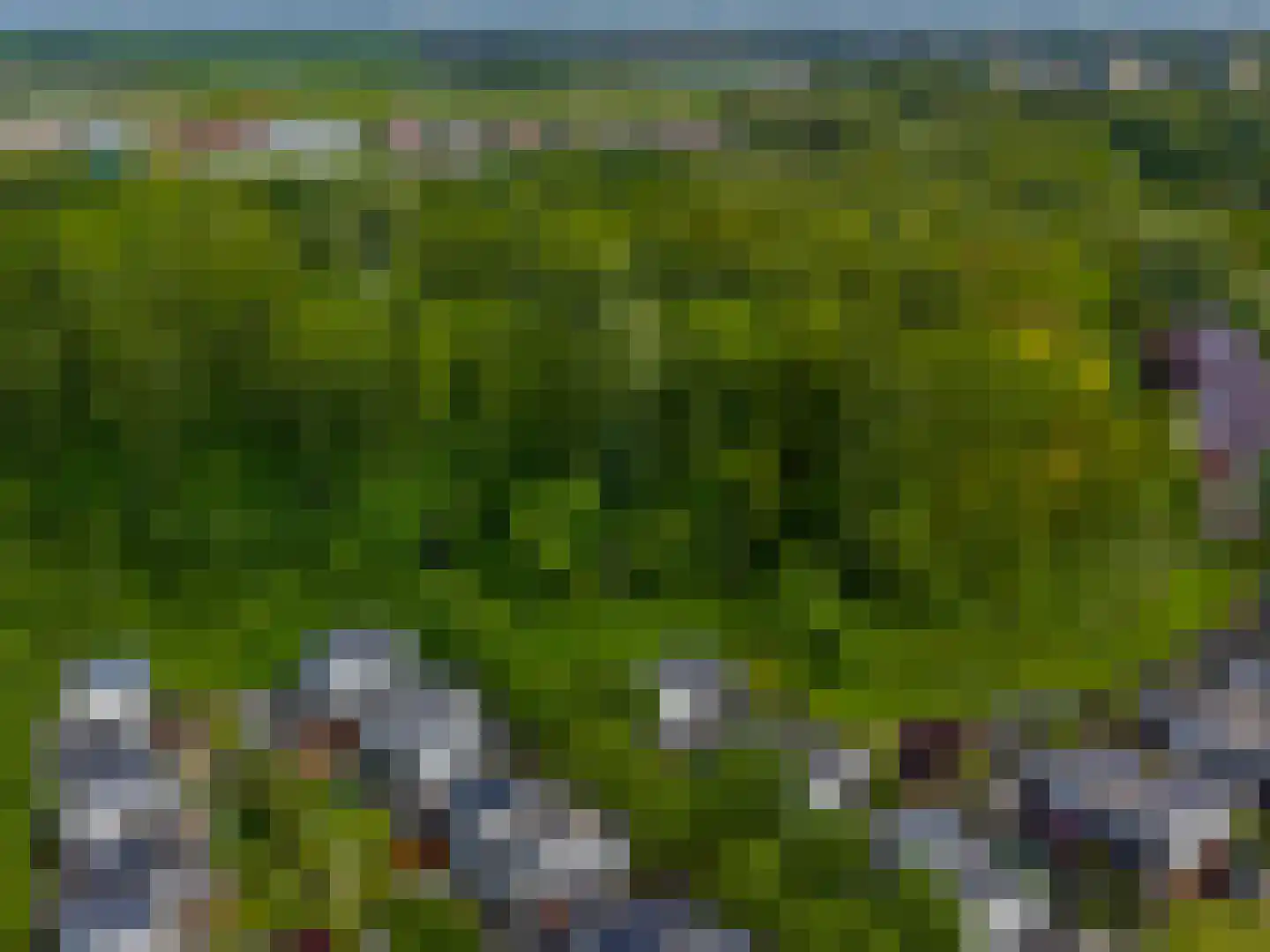 Het Roege Bos 5 Groningen thumbnail 63