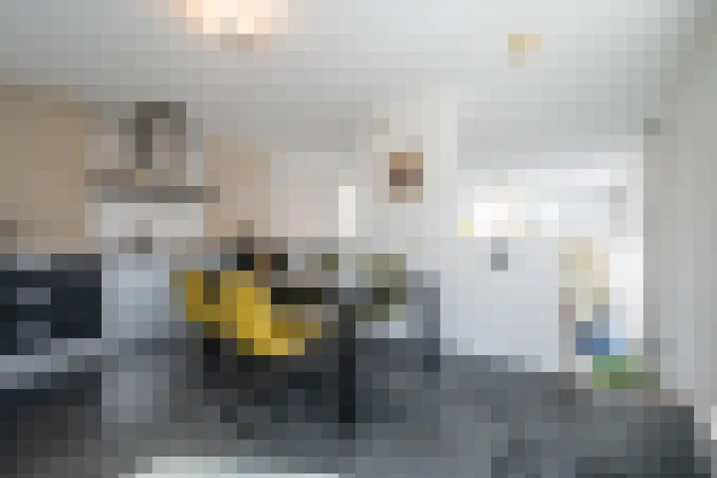 Het Roege Pad 1 Groningen thumbnail 30
