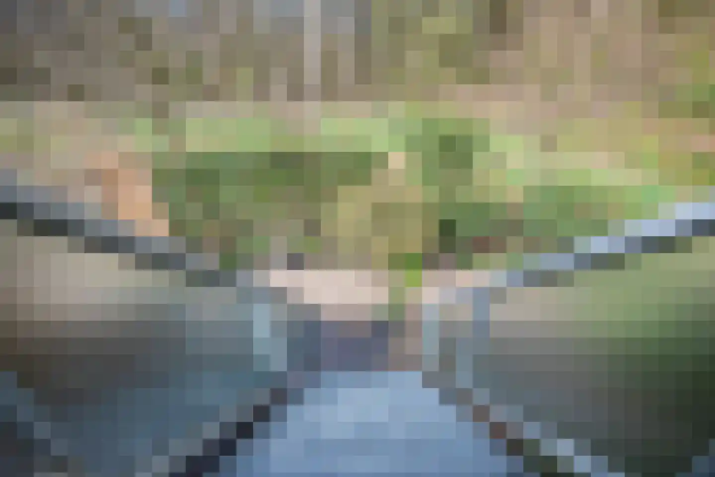 Het Roege Pad 1 Groningen thumbnail 36