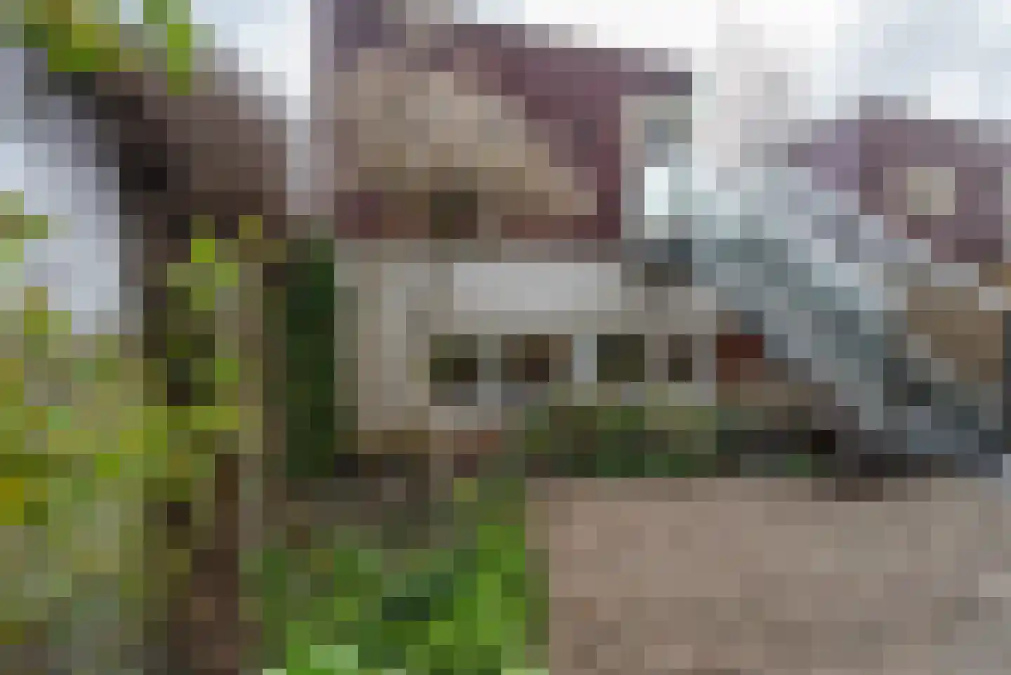 Het Roege Pad 1 Groningen thumbnail 37