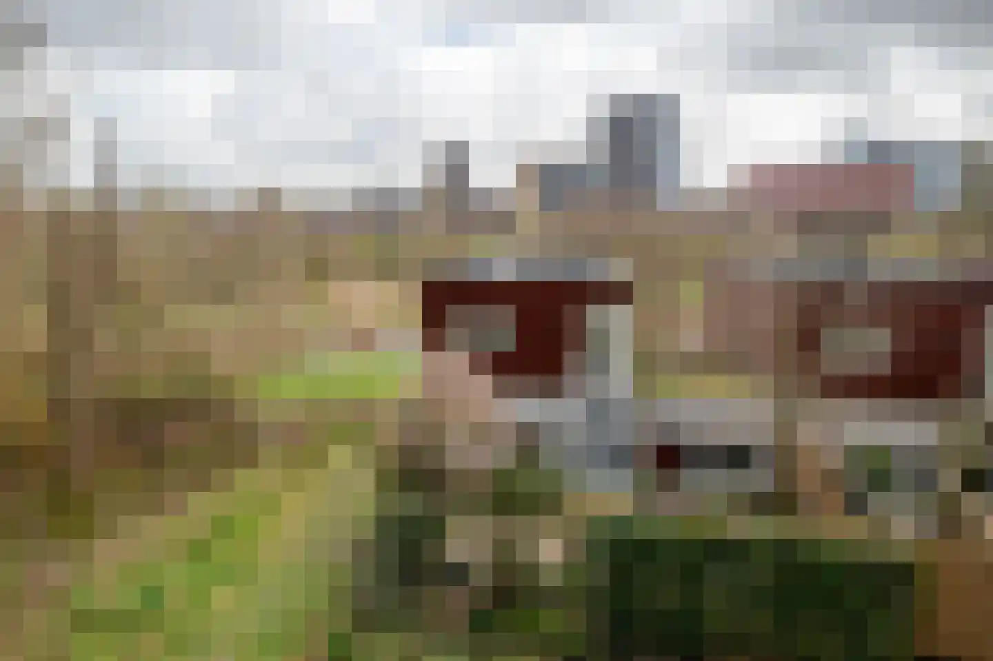 Het Roege Pad 1 Groningen thumbnail 4