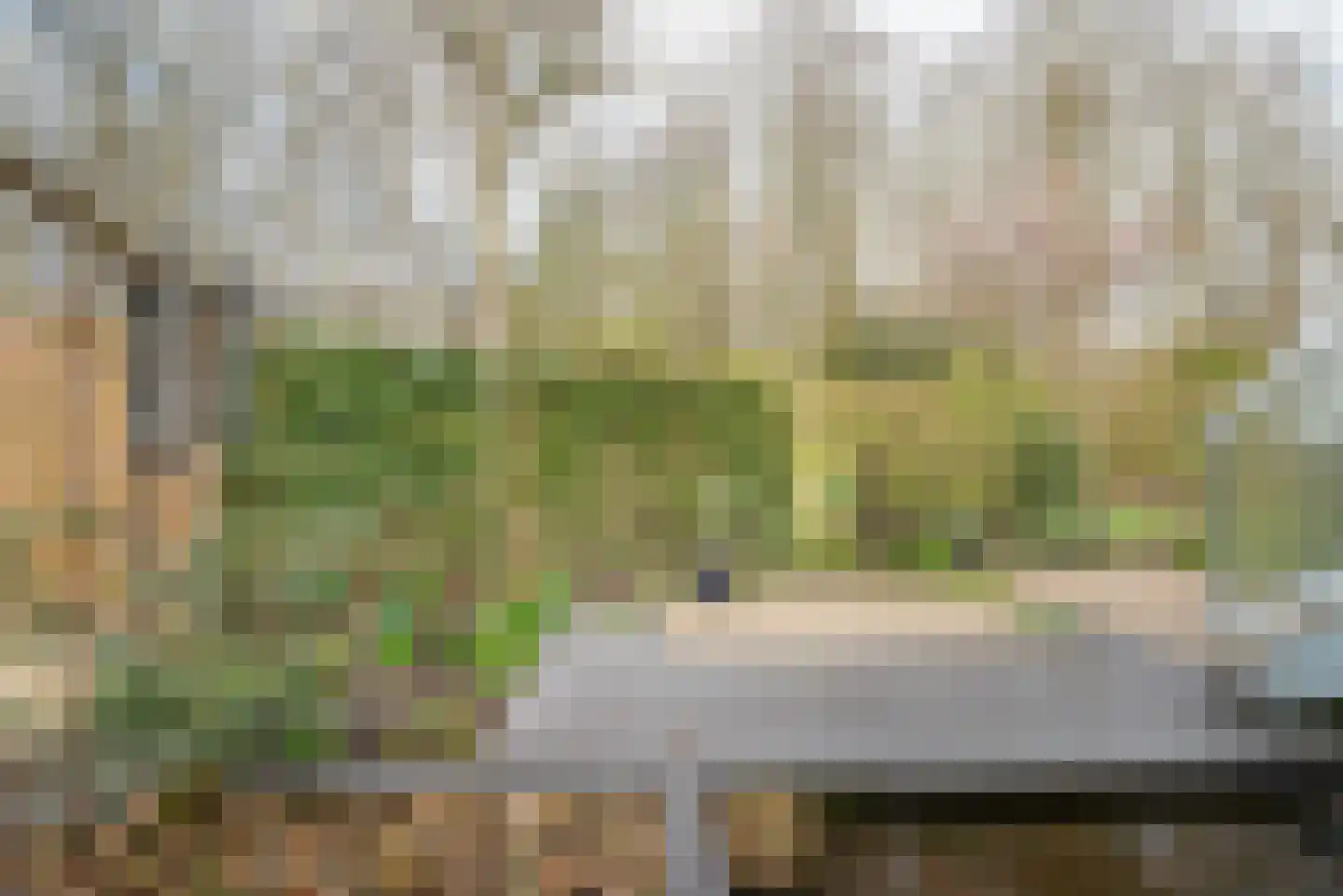Het Roege Pad 1 Groningen thumbnail 40