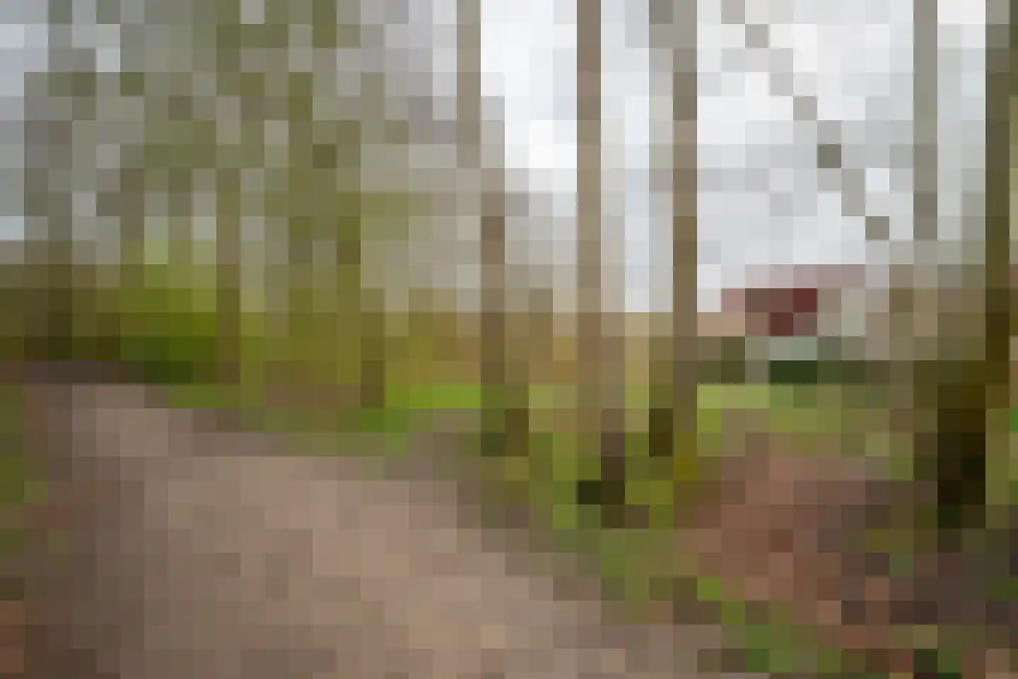 Het Roege Pad 1 Groningen thumbnail 41