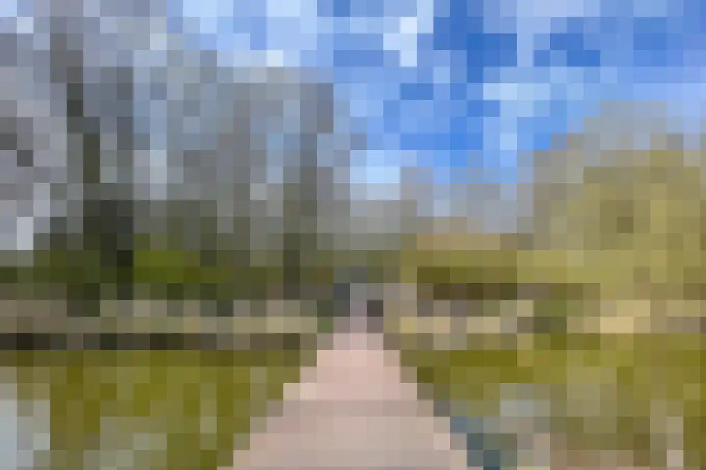 Het Roege Pad 1 Groningen thumbnail 42