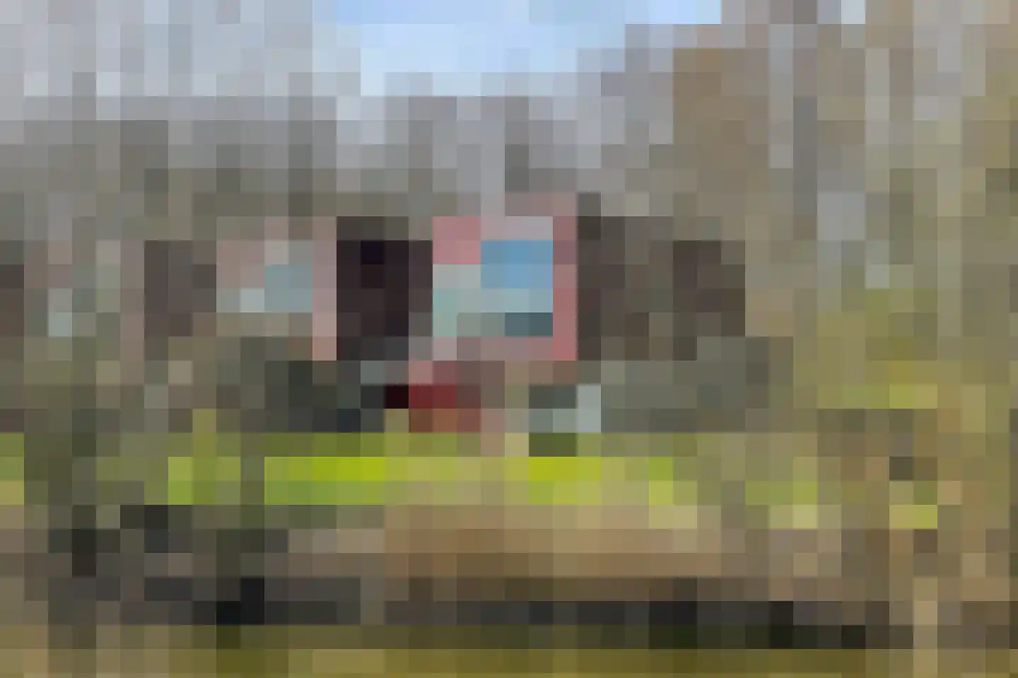 Het Roege Pad 1 Groningen thumbnail 5