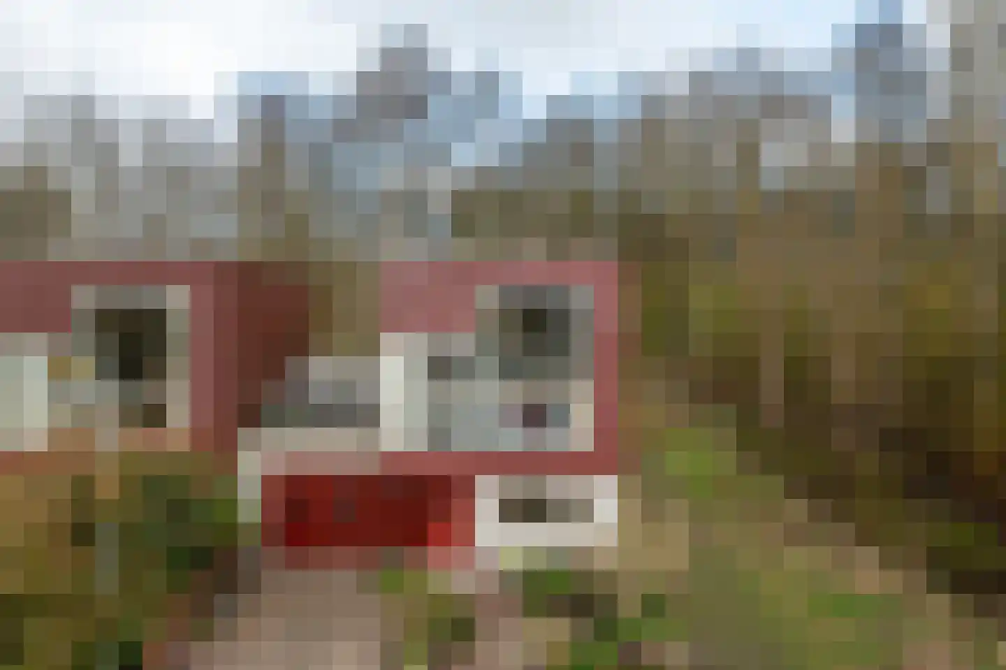 Het Roege Pad 1 Groningen thumbnail 7