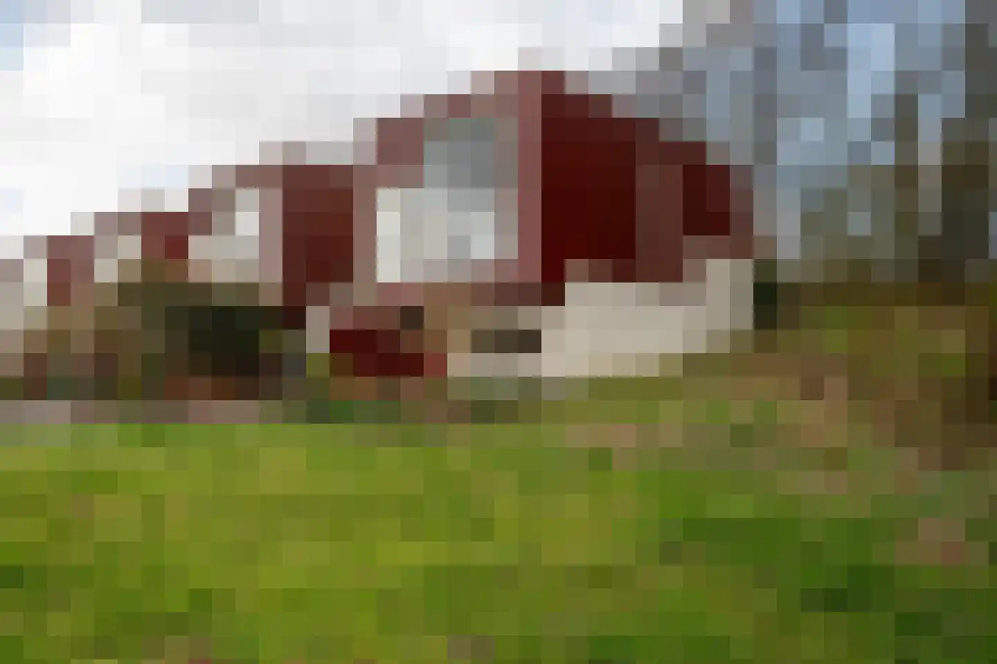 Het Roege Pad 1 Groningen thumbnail 8