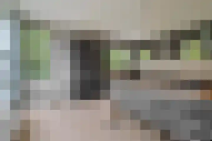 Het Roege Pad 3 Groningen thumbnail 16