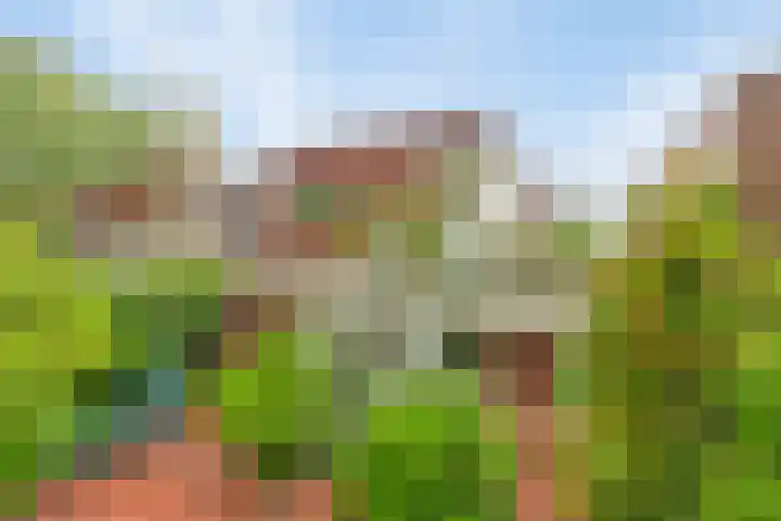 Het Roege Pad 3 Groningen thumbnail 26