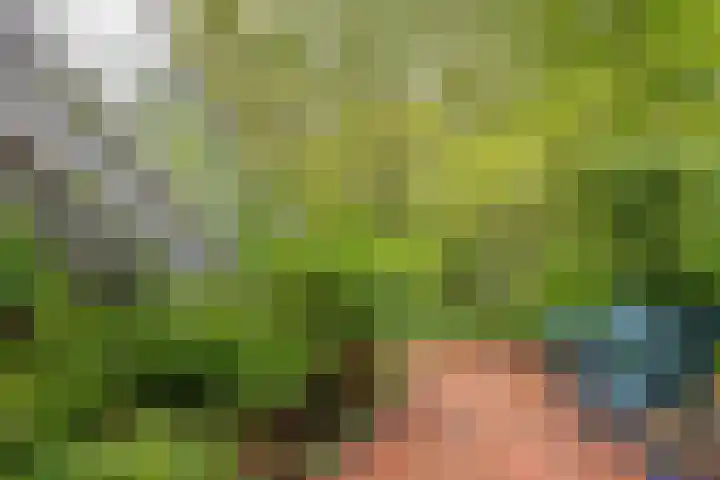 Het Roege Pad 3 Groningen thumbnail 29
