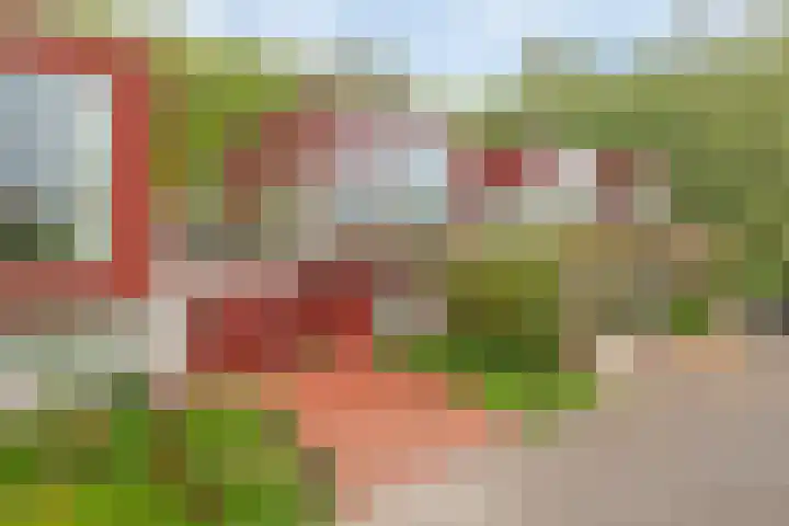 Het Roege Pad 3 Groningen thumbnail 35